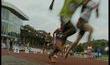 15-07-2008: 7ème édition pour le meeting d'athlétisme